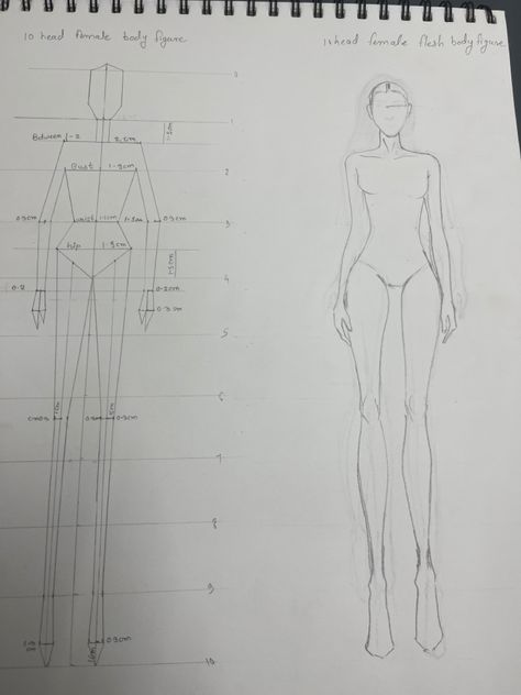 10 head Block body figure and 10 head flesh body figure illustrates 10 Head Fashion Figures, Body Block Sketch, Flesh Figures Fashion Illustration, 10 Head Figure Drawing, Block Figure Illustration, 10 Heads Fashion Illustration, Block Figure Sketch, 10 Head Croquis Fashion Figures, 9 Head Figure Drawing