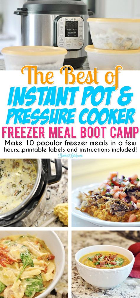 This set of some of the most popular Instant Pot Freezer Meals on the web can be prepped and in the freezer in just hours - easy recipes for busy families!  You can use any electric pressure cooker to cook and this set includes printable grocery list and meal labels. Pressure Cooker Freezer Meals, Easy Camping Food Ideas, Easy Camping Food, Camping Food Ideas, Instant Pot Freezer, Instant Pot Freezer Meals, Budget Freezer Meals, Meal Plan Grocery List, Amazing Meals