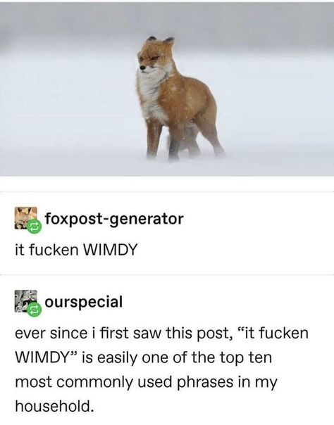 Saw Movies, Funny Tumblr Posts, Cute Little Animals, Top Ten, The Fox, Tumblr Funny, Animal Memes, Cute Funny Animals, Popular Memes