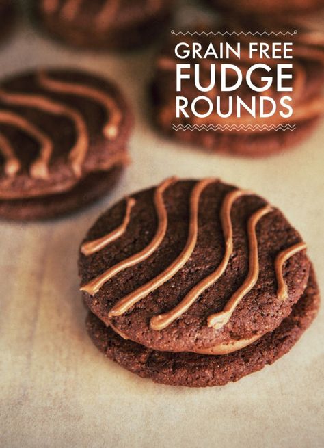 Fudge Rounds! - Real Sustenance Fudge Rounds, Paleo Fudge, Dairy Free Fudge, Gfcf Recipes, Gf Sweets, Gluten Free Chocolate Recipes, Gluten Free Desserts Healthy, Healthier Sweets, Keto Fudge