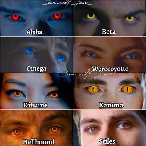 Teen Wolf Eyes, Werewolf Eyes, Colour Eyes, Teen Wolf Werewolf, Animal Mashups, Fantasy Eyes, Rare Eye Colors, Eye Color Chart, Rare Eyes