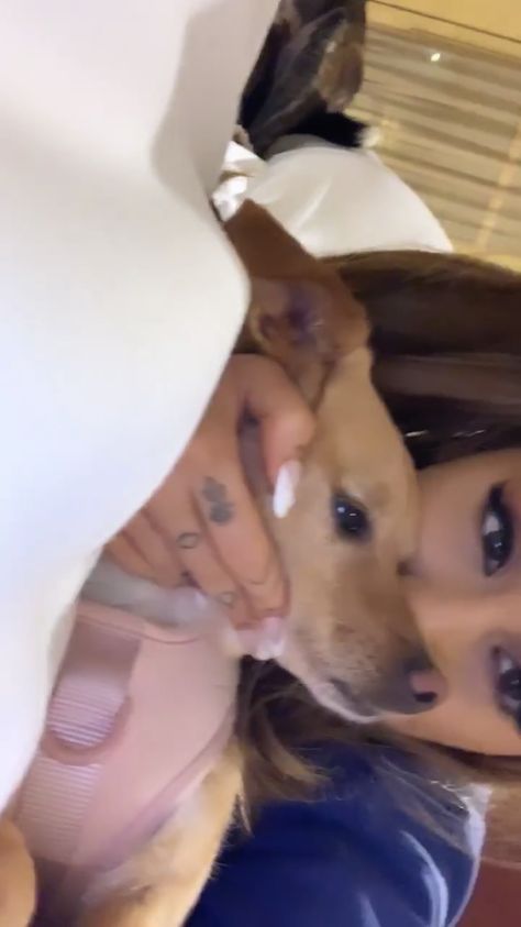 Ariana Grande Rares, Ariana Grande Images, Ariana Instagram, Ariana Grande Music Videos, Ariana Video, Ariana Grande Gif, Tiny Elephant, Ariana Grande Photoshoot, Ariana Grande Photos