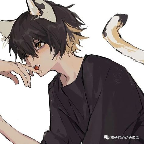 Oc With Animal Ears, Catboy Drawing, Wolf Oc Character Design, Catboy Pfp, Catboy Anime, Cat Ears And Tail, Anime Cat Boy, Neko Boy, Cat Boy