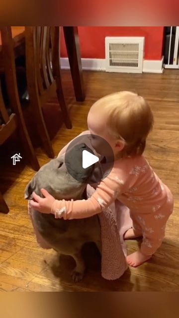 Cute Animal Friends, Babies With Dogs, Babies And Dogs, Babies And Puppies, Pet Videos, Puppy Videos Cutest, Baby Animals Adorable, Dogs And Babies, Cute Puppies Videos