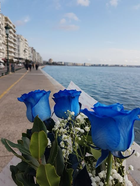 Fav Flower, Blue Roses Wallpaper, Luxury Flower Bouquets, Light Blue Roses, Roses Art, Everything Is Blue, Lucid Dream, Aesthetic Roses, Sky Photography Nature