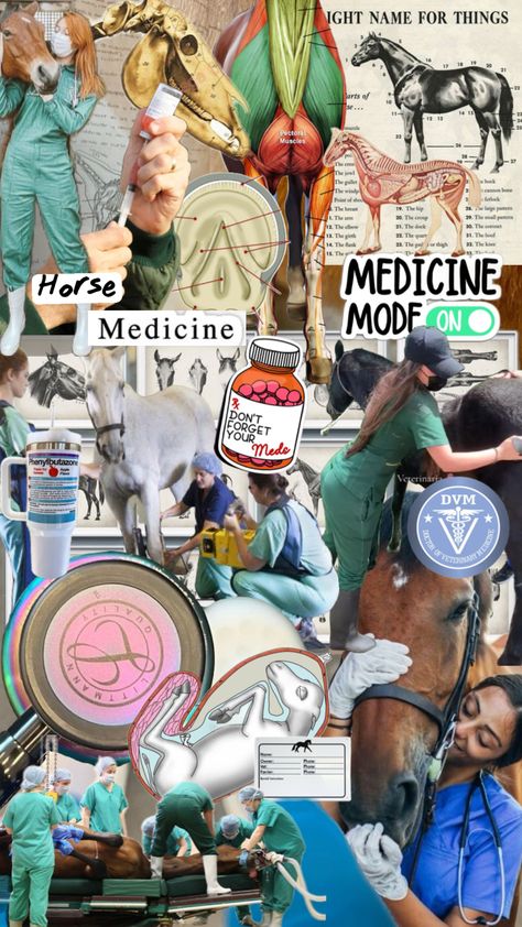 #miprimershuffle #myfirstshuffle #horsegirl #vet #veterinary #veterinarymedicine #horsevet #horse #medicine #vetmed Horse Vet, Horse Riding Aesthetic, Pectoral Muscles, Vet Med, Veterinary Medicine, Future Career, Horse Girl, Horse Riding, Medicine