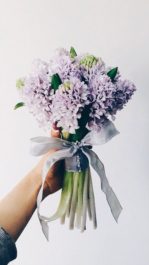 Hyancith Bouquet, Hyacinth Bouquet Aesthetic, Hyacinth Bouquet Wedding, Hyacinth Flower Bouquets, Hyacinth Bridal Bouquet, Hyacinth Wedding, Korean Bouquet, Pride Flowers, Hyacinth Bouquet