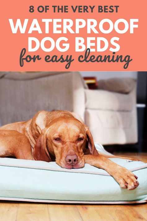 Diy Waterproof Dog Bed, Unique Dog Beds, Diy Beds, Raised Dog Beds, Pallet Dog Beds, Dog Skin Care, Small Pet Bed, Dog Crate Bed, Waterproof Dog Bed