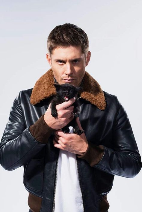 jensen ackles. (@JAcklesCrew) | Twitter Supernatural Halloween, Celebrities With Cats, Men With Cats, Hip Problems, Halloween Photo, Winchester Boys, Supernatural Dean, Odaiba, Supernatural Cast