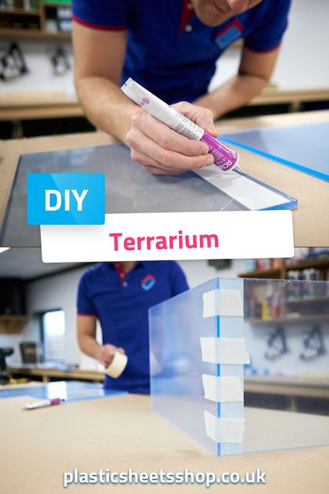 How To Build A Reptile Terrarium, Insect Vivarium, Making A Terrarium, Chameleon Terrarium, Plastic Terrarium, Stick Insects, Snake Terrarium, Frog Terrarium, Acrylic Aquarium