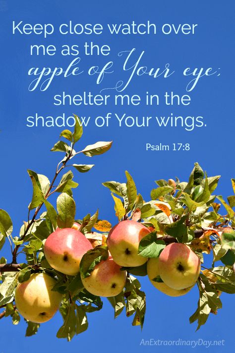 Comforting and Inspirational Bible Verse for Hard Times - Keep close watch over me at the apple of Your eye; #devotionals #Scripture #inspirational Worship Verses, Bible Verses For Hard Times, Bybel Verse, Posting Ideas, Inspirational Bible Verse, True Vine, Bible Verses About Strength, Healing Heart Quotes, Watch Over Me