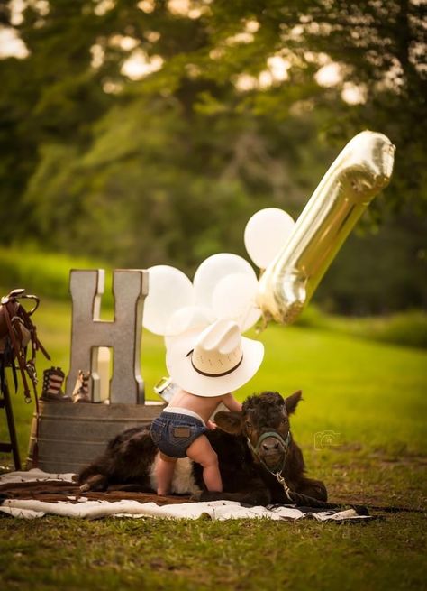 1 Year Cowboy Photoshoot, First Birthday Photo Shoot Ideas Western, Cowboy 1 Year Pictures, 1st Birthday Cowboy Photo Shoot, 1st Rodeo Birthday Pictures, First Birthday Cow Photoshoot, Cowboy Birthday Photoshoot, 1st Birthday Cowboy Pictures, 1 Year Cowboy Birthday