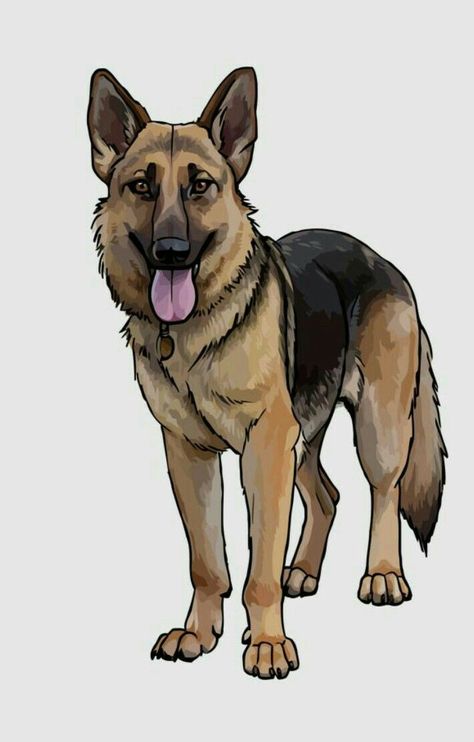 German Shepherd Tattoo, German Shepherd Art, Animal Drawings Sketches, Dog Clipart, Dog Sketch, Pets Drawing, Pretty Dogs, German Shepherd Dog, Dog Drawing