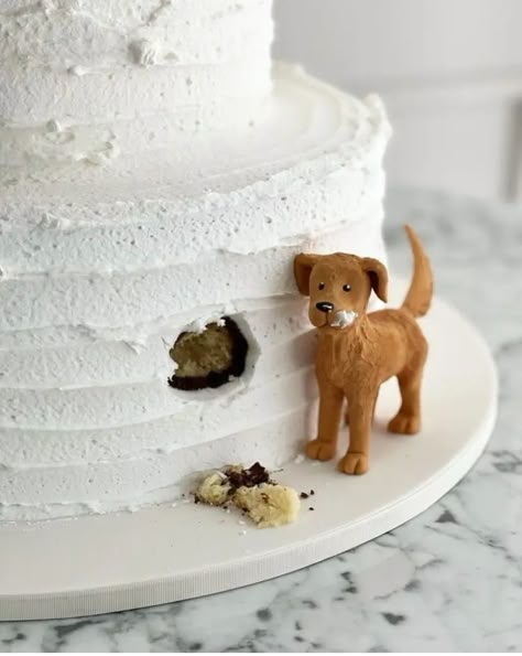 Dog Cake, Cake Lover, Perfect Cake, White Cake, Dog Birthday, Pretty Cakes, Creative Cakes, Cute Cakes, Creative Food