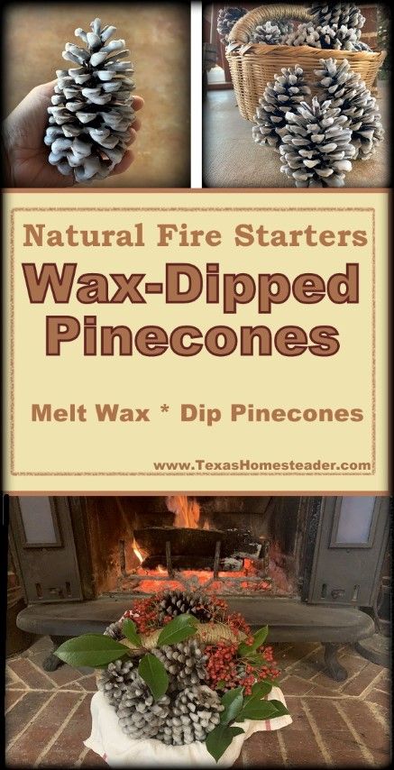 Looking for a last-minute gift idea? These waxed pinecones make great fire starters for friends with a wood-burning stove or camping enthusiasts. I used free pine cones & melted down wax from old, used candles. #TexasHomesteader #Christmas #GiftIdea #Pinecone #FireStarter #Homemade #Gift Ideas For Pine Cones, Pine Cone Fire Starters How To Make, Pine Cone Firestarters Diy, How To Make Pine Cone Firestarters, How To Make Pinecone Fire Starters, Pine Cone Fire Starter Diy How To Make, Pine Cone Fire Starter Diy, Pinecone Fire Starter Diy How To Make, Fire Starter Pine Cones