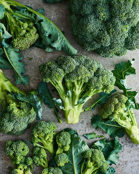 Broccoli: The Best Ways to Store It, Cook It, and Eat It | Kitchn | Inspiring cooks, nourishing homes | Bloglovin’ Freezing Zucchini, Broccoli Side Dish, Broccoli Nutrition, Zucchini Plants, Raw Broccoli, Bitter Greens, Shrimp And Broccoli, Freeze Greens, Broccoli Rabe