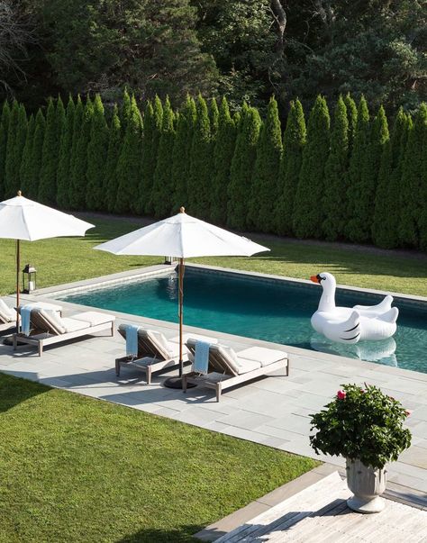 Bella Mancini Design Trees Behind Pool, Swimming Pool Wedding Reception, Adding Hot Tub To Existing Pool, Rectangle Pool Landscaping Backyard, Landscape Ideas Around Pool, Modern Rectangle Pool, Hamptons Landscaping, Dröm Hus Planer, Pool With Slide