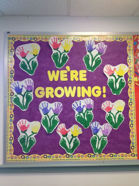 Growing Bulletin Board, Infant Bulletin Board, Daycare Bulletin Boards, Toddler Bulletin Boards, Spring Bulletin, Infant Classroom, Spring Bulletin Boards, Spring Classroom, Preschool Bulletin