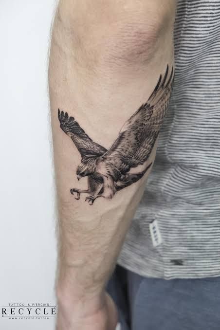 Recycle Tattoo, Falcon Tattoo, Hawk Tattoo, Petit Tattoo, Muster Tattoos, Cool Forearm Tattoos, Inspiration Tattoos, Eagle Tattoos, Geniale Tattoos