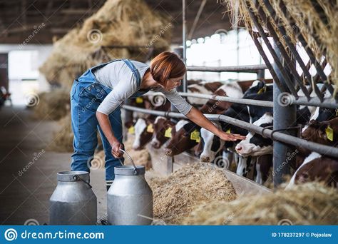 Grants For Women, Vermont Farms, Farm Women, Small Farms, Young Farmers, Female Farmer, Farm Business, Agriculture Industry, Small Business Loans