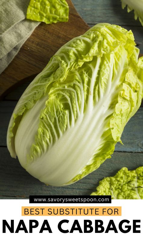 Looking for a Napa cabbage substitute? Try these easy alternatives like bok choy, savoy cabbage, or green cabbage! Each offers a similar crunch and mild flavor, making them perfect swaps for your favorite recipes, from stir-fries to soups. Napa Cabbage Recipes, Types Of Cabbage, Dumpling Filling, Savoy Cabbage, Food Substitutions, Napa Cabbage, Chinese Cabbage, Food Info, Green Cabbage