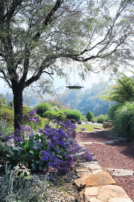 15 Cottage Gardens That Are Full Of Charm Limonium Perezii, Fence Gardens, Statice Limonium, Australian Cottage, Cottage Garden Ideas, Wild Gardens, Australian Gardens, Country Garden Design, Australian House