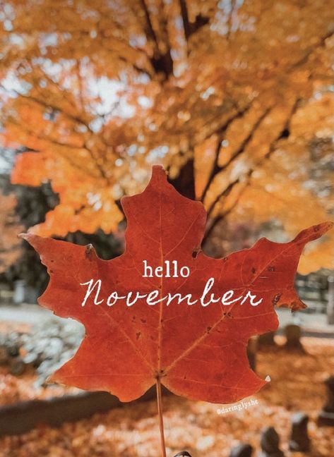 November Backgrounds, Fall Facebook Cover, November Images, New Month Wishes, Welcome November, November Wallpaper, Seasons Months, Happy November, Hello November