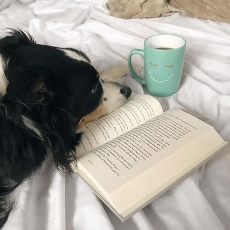 Hygge Moments, Winry Rockbell, Book And Coffee, Dog Books, Funny Dog Pictures, Animal Books, Coffee And Books, Reading Books, Fullmetal Alchemist