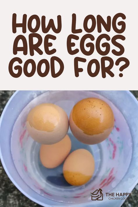 Ever wonder just how long those farm-fresh eggs stay fresh? 🥚🤔 Uncover the shelf life of eggs and tips to maximize their longevity. Click READ IT for expert advice on storing your eggs the right way! 📘🍳 Chicken Harness, Raising Quail, Goat Care, Chicken Keeping, Backyard Chicken Farming, Chicken Health, Raising Backyard Chickens, Keeping Chickens, Healthy Teas