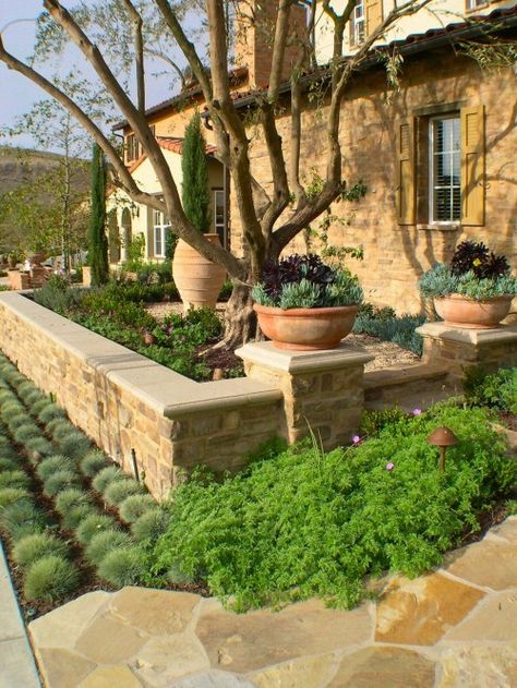 Southwest landscape Southwest Landscaping, Mediterranean Garden Design, Curb Appeal Landscape, Succulent Landscape Design, Tuscan Garden, Tuscan Landscaping, Front Yard Design, Mediterranean Landscaping, Farmhouse Landscaping