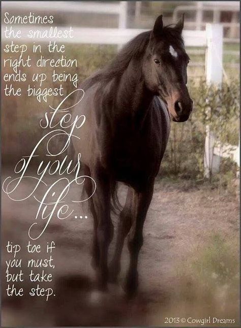 Happy Birthday Horse Lover, Horse Happy Birthday Image, Horse Happy Birthday, Happy Birthday Image, Birthday Wishes For A Friend, Birthday Horse, Happy Birthday Wishes For A Friend, Lovers Images, Birthday Image