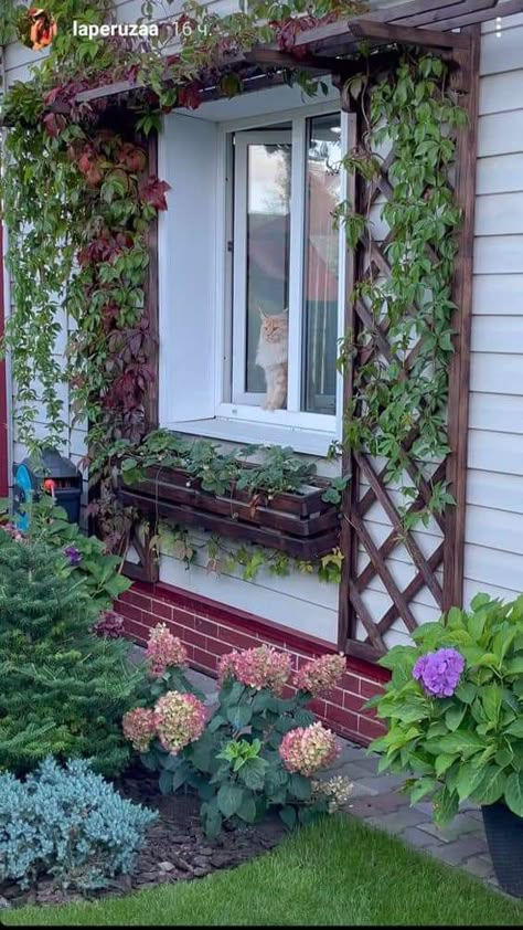 House With Plants, Patio Decorating Ideas Seating Areas, Front Garden Landscape, Cottage Garden Design, Garden Decor Projects, Outdoor Gardens Design, Patio Decorating Ideas, Charming Garden, Patio Decorating