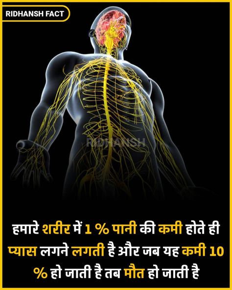 Fact About Human Body In Hindi, Body Facts In Hindi, Universe Facts In Hindi, Human Body Facts In Hindi, Medical Facts Interesting, Story Thoughts, Fact Hindi, Google Facts, Interesting Facts About Humans