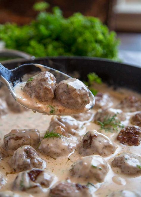 Swedish Meatballs with Gravy Dill Meatballs, Meatballs With Gravy, Dill Cream Sauce, Swedish Meatballs Easy, Meatballs And Gravy, Minced Meat Recipe, How To Cook Meatballs, Lamb Meatballs, Crispy Baked Chicken