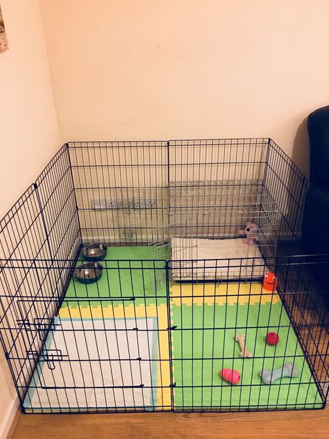 Dog playpen & Crate layout Puppy Pens Indoor, Dog Playpen Ideas, Puppy Crate Setup Playpen, Puppy Pen Ideas Indoor Small Space, Small Dog Play Area Indoor, Puppy Playpen Setup, Diy Dog Playpen Indoor, Dog Playpen Indoor Ideas, Puppy Crate Ideas