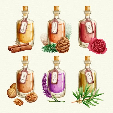 Watercolor essential oil bottle collecti... | Free Vector #Freepik #freevector #scented-candle #aroma #herbal-oil #essential Bottle Watercolor, Bottle Drawing, Essential Oil Bottles, Watercolor Abstract, Bullet Journal Stickers, Oil Bottle, Journal Stickers, Food Illustrations, Scrapbook Stickers