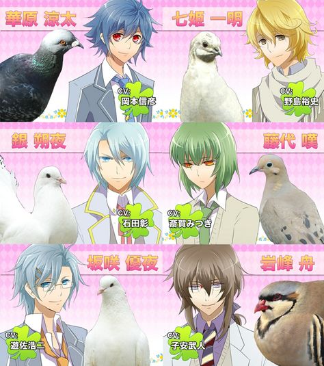 Hatoful Boyfriend - All of the Pigeons! Even Anghel and Okosan, although they're not pictured. (Names in order) Ryouta, Kazuaki, Sakuya, Nageki, Yuuya, and Shuu. Hatoful Boyfriend, Boyfriend Stuff, Monster Prom, Dating Simulator, Otome Games, Maid Outfit, First Humans, Random Anime, Mystic Messenger