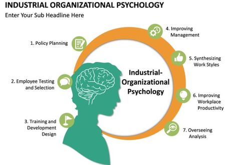 Industrial Psychology, Psychology A Level, Organizational Psychology, Job Analysis, Psychology Careers, Industrial And Organizational Psychology, Business Psychology, Workplace Productivity, Colleges For Psychology