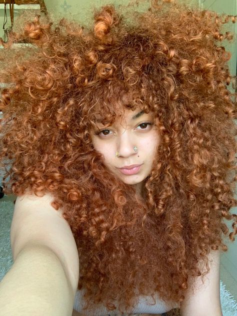 curly hair, copper curly hair, brown curly hair, curly bangs, afro, curly hairstyles, hair dye, natural hair, curls, nose rings Curly Hair Copper, Afro Curly Hairstyles, Dye Natural Hair, Copper Curly Hair, Hair Dye Natural, Copper Hair Dye, Curly Ginger Hair, Curly Hair Brown, Natural Hair Curls