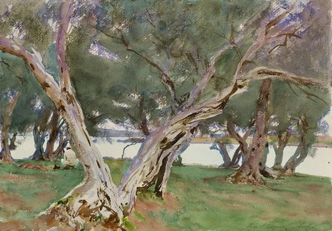 sargent, john singer - Olive Trees, Corfu | John Singer Sarg… | Flickr John Singer Sargent Watercolors, John Sargent, Harvard Art Museum, Living In London, Art Museums, John Singer Sargent, Olive Trees, 수채화 그림, Edgar Degas