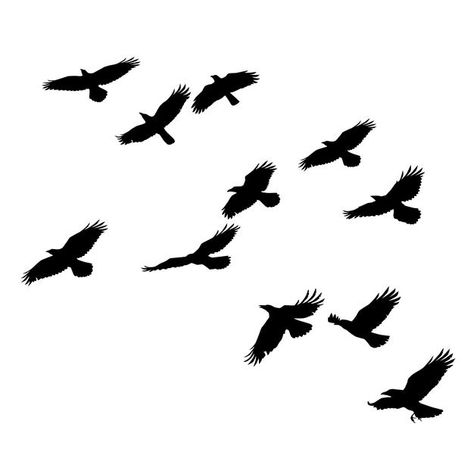 Bird Flying Top View, Black Bird Silhouette, Birds Silhouette Flying, Crows Silhouette, Birds Flying Silhouette, Birds Flying Tattoo, Metal Chiminea, Bird Shadow, Flying Bird Vector