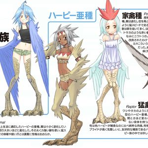 Harpy Physiology | Superpower Wiki | Fandom Monster Museum, Monster Girl Encyclopedia, Monster Boy, Monster Musume, Anime Monsters, Monster Characters, Human Species, Monster Girl, Creature Art