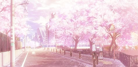 . Pink Gif Background, Pink Gif Banner, Pink Computer Wallpaper Gif, Cherry Blossom Discord Banner, Pink Banner Gif, Anime Cherry Blossom Gif, Cherry Blossom Aesthetic Gif, Pink Anime Scenery Gif, Pink Wallpaper Laptop