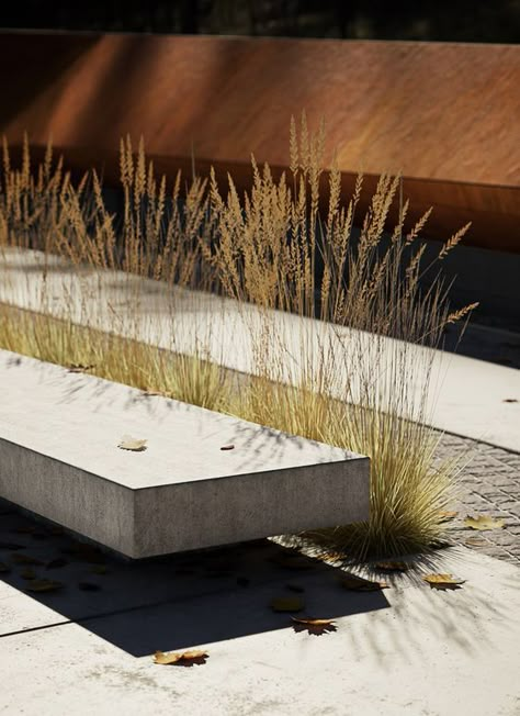 Landscape Steps, Landscape Details, House Cladding, Concrete Bench, Urban Landscape Design, Landscape Elements, Grasses Garden, Landscape And Urbanism, Garden Nursery