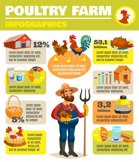 Poultry farm infographic poster Free Vector Vegetable Garden Planner, Food Infographic, Infographic Poster, Poultry Farm, Kawaii Design, Graphic Editing, Cartoon Images, Graphic Design Tutorials, Brand Story