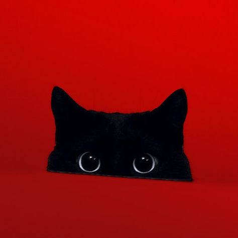 نباتات منزلية, 강아지 그림, Red Wall, Here Kitty Kitty, Kitty Kitty, Red Aesthetic, Crazy Cat, Kitty Cats, Cat Gif