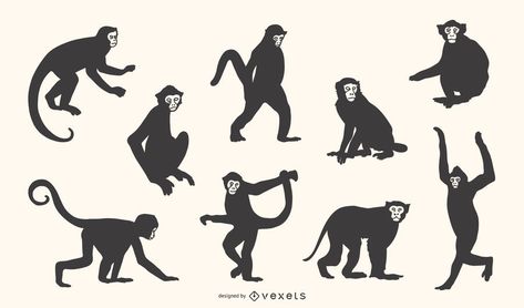 Capuchin Monkey Silhouette Set #AD , #ad, #affiliate, #Monkey, #Silhouette, #Set, #Capuchin Monkey Silhouette, Monkey Pose, Drawing Graphic Design, Monkey Drawing, Zoo Project, Monkey Illustration, Monkey Logo, Monkey Tattoos, Capuchin Monkey