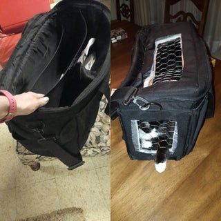 DIY Recycled Small Pet Carrier Backpack : 8 Steps (with Pictures) - Instructables Guinea Pig Carrier, Small Pet Carrier, Pet Carrier Backpack, Ems Bag, Pet Backpack Carrier, Pet Backpack, Pet Rats, Diy Recycle, Pet Hacks