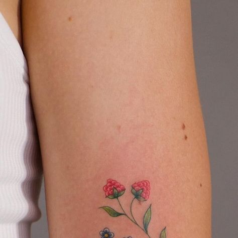 Christina on Instagram: "Some raspberries as a first tattoo!! Thank you for your trust🫶🏼💖" Raspberry Tattoo Minimalist, Raspberry Tattoo, Tattoo Minimalist, American Traditional, First Tattoo, Fine Line, Tatting, Tattoo Ideas, Piercings