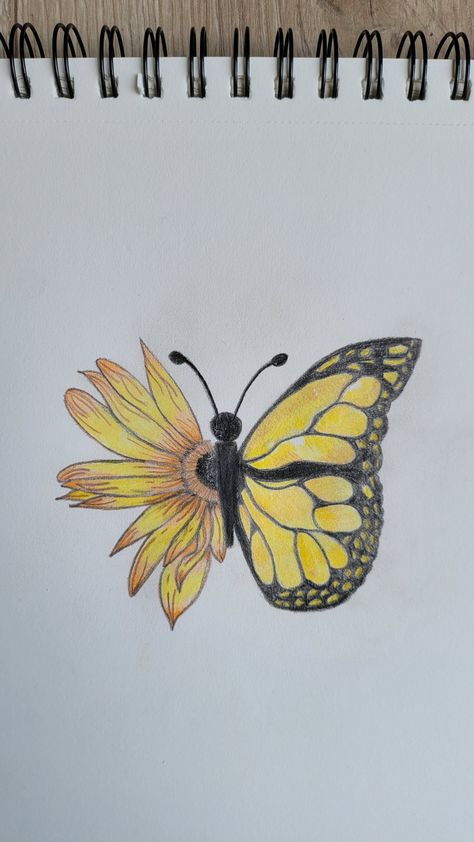 Yellow Butterfly yellow flower half drawing coloured drawing Half Flower Half Butterfly Drawing, Half Butterfly Half Flower Painting, Half Butterfly Drawing, Half Flower Half Butterfly, Distortion Art, Half Butterfly, Half Flower, Arm Tats, Flower Step By Step